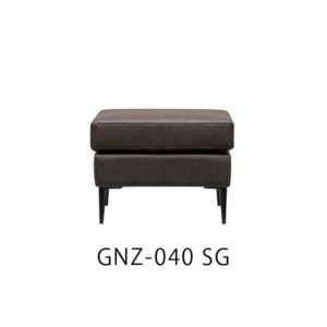 GNZ040
